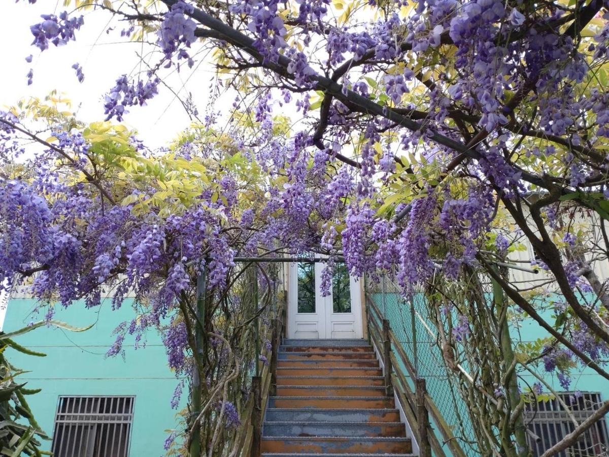 Youlin Homestay Meishan Extérieur photo